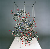Image: Crystal structure model of Vitamin B12 made for the X-ray crystallographer Dorothy Crowfoot Hodgkin in 1958